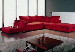 fabric sofa sikexin 8011 其他家居用品